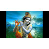 Ekadashi Krishna Pooja